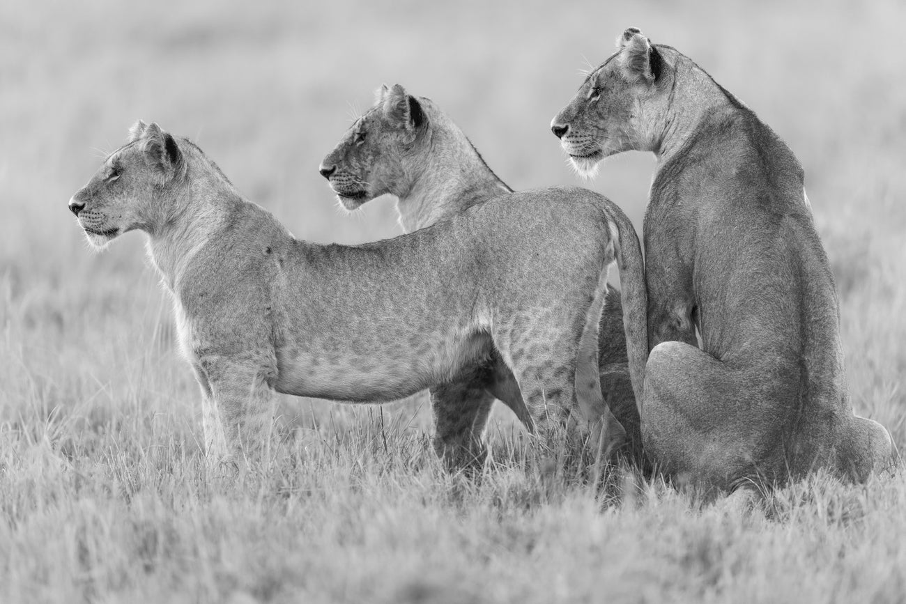 Naturfotografi av Vegard Hanssen